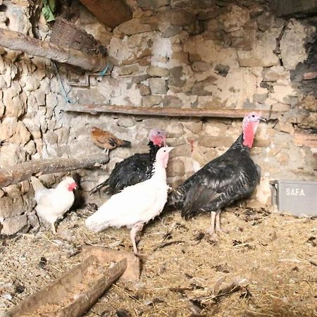 Casa Rural Amador Villarroya de los Pinares Zewnętrze zdjęcie