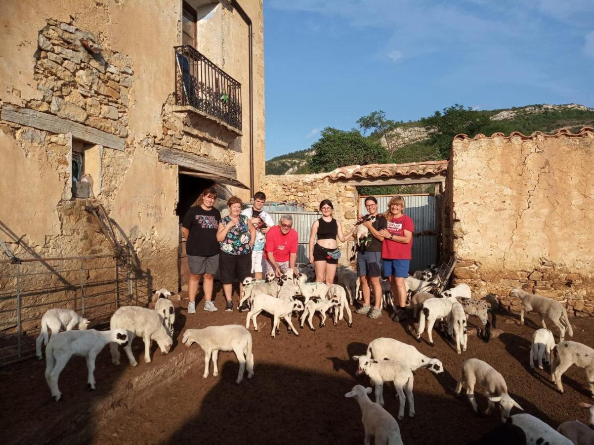 Casa Rural Amador Villarroya de los Pinares Zewnętrze zdjęcie